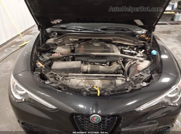 ZASPAKBN0K7C37010 2019 ALFA ROMEO STELVIO Black Вид ззаду