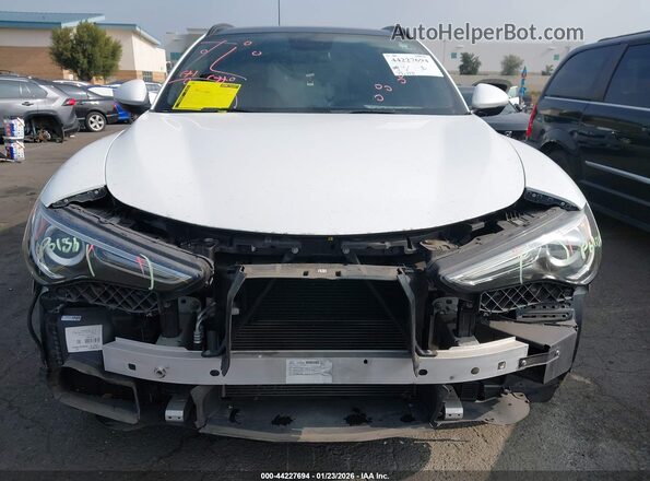 ZASPAKBN1K7C40661 2019 ALFA ROMEO STELVIO Белый Вид задней части салона