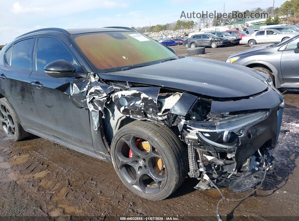 ZASPAKBN2N7D32284 2022 ALFA ROMEO STELVIO Черный 