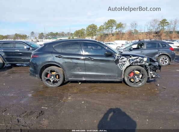 ZASPAKBN2N7D32284 2022 ALFA ROMEO STELVIO Черный Вид задней части салона