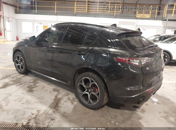 ZASPAKBN3R7D74596 2024 ALFA ROMEO STELVIO Black უკანა მარცხენა