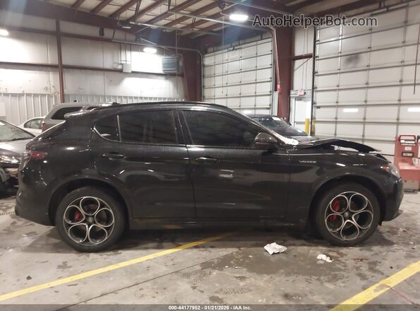 ZASPAKBN3R7D74596 2024 ALFA ROMEO STELVIO Black უკანა სალონის ხედი