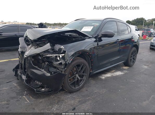 ZASPAKBN4M7D13976 2021 ALFA ROMEO STELVIO Black Передня ліва чверть