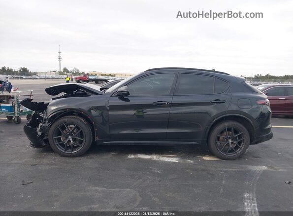 ZASPAKBN4M7D13976 2021 ALFA ROMEO STELVIO Black Панорамний вид салону 360°