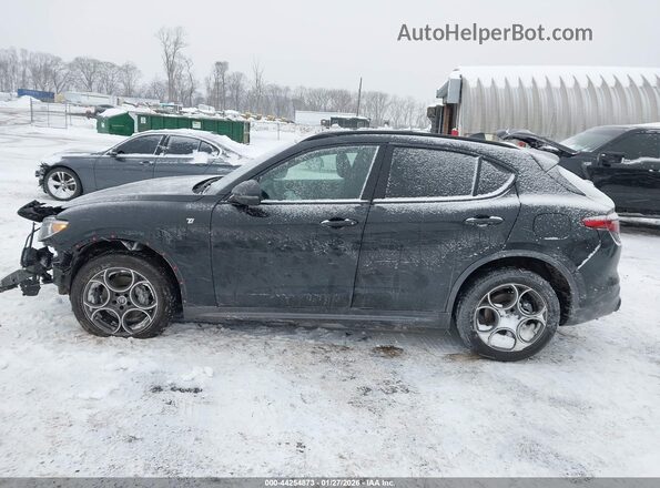 ZASPAKBN4P7D57061 2023 ALFA ROMEO STELVIO Black Панорамний вид салону 360°