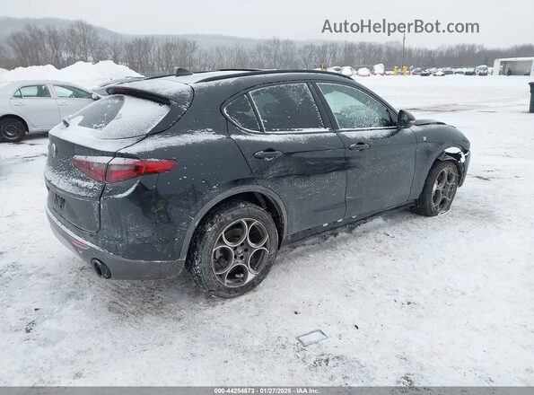 ZASPAKBN4P7D57061 2023 ALFA ROMEO STELVIO Black Задня права чверть