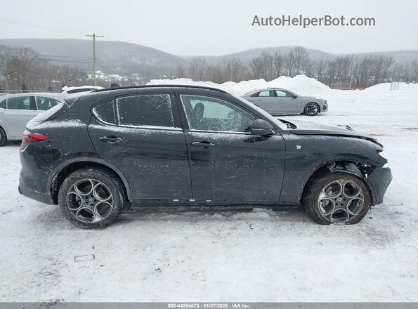 ZASPAKBN4P7D57061 2023 ALFA ROMEO STELVIO Black Вид задньої частини салону