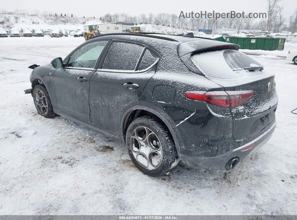 ZASPAKBN4P7D57061 2023 ALFA ROMEO STELVIO Black Задня ліва чверть
