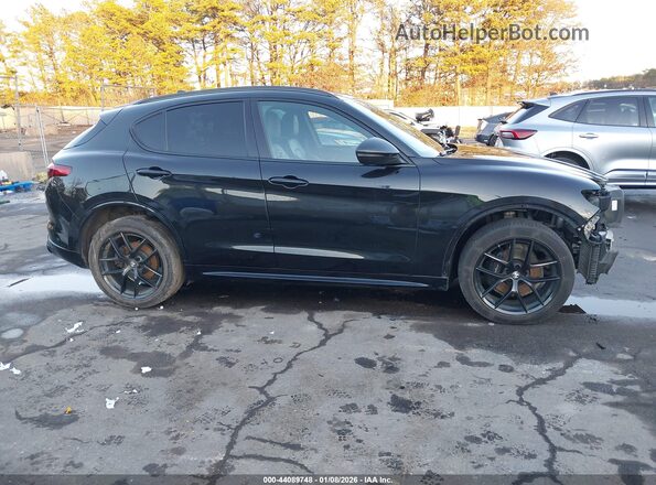 ZASPAKBN5L7C92022 2020 ALFA ROMEO STELVIO Черный Вид задней части салона
