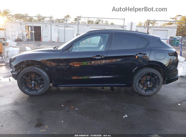 ZASPAKBN5L7C92022 2020 ALFA ROMEO STELVIO Черный Панорамный вид салона 360°