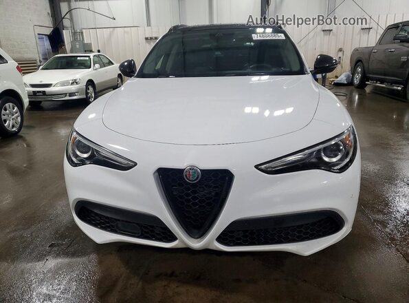ZASPAKBN6L7C97097 2020 ALFA ROMEO STELVIO White Vista frontal