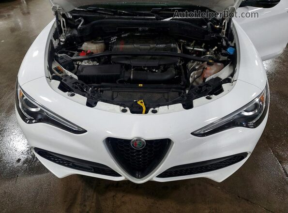 ZASPAKBN6L7C97097 2020 ALFA ROMEO STELVIO White Vista del compartimento del motor