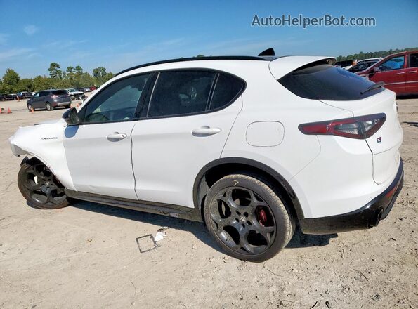ZASPAKBN7R7D78439 2024 ALFA ROMEO STELVIO White Tył lewy