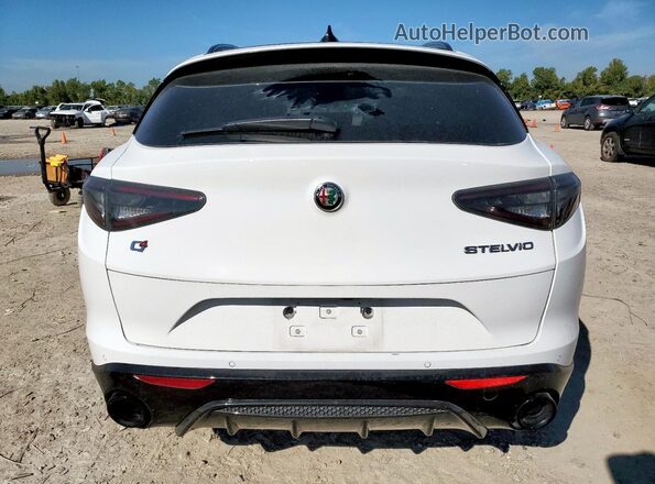ZASPAKBN7R7D78439 2024 ALFA ROMEO STELVIO White Widok z tyłu