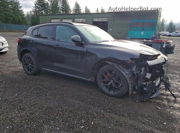ZASPAKBNXK7C43073 2019 ALFA ROMEO STELVIO Черный Передняя правая четверть