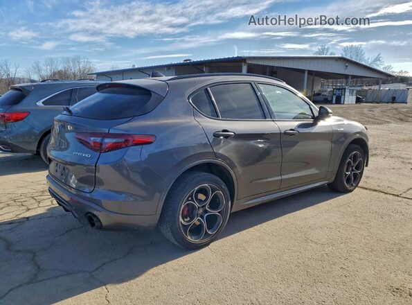 ZASPAKBNXN7D48216 2022 ALFA ROMEO STELVIO Серый Задняя правая четверть