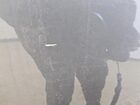 2018 Fiat 500x Trekking Gray vin: ZFBCFXCB2JP657394 Damage: Left Rear Door, Heavy Scratch, 1 To 2 Inches