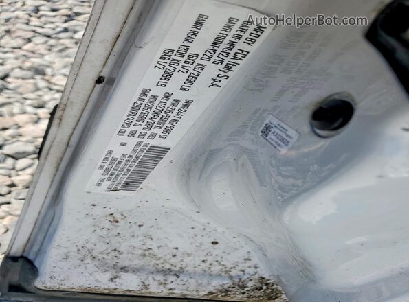 ZFBERFAT7G6B87175 2016 RAM PROMASTER White Widok naklejki z numerem VIN