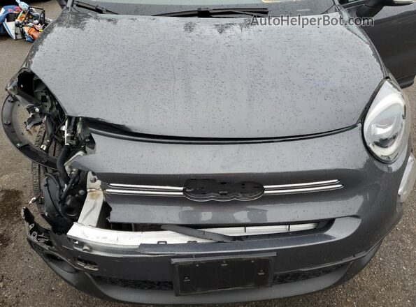 ZFBNF3B14PPA29598 2023 FIAT 500X Gray Vista del compartimento del motor