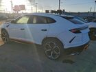 2019 Lamborghini Urus White vin: ZPBUA1ZL9KLA04432