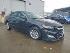 2023 Chevrolet Malibu Lt *** Prior Fleet *** Черный vin: 1G1ZD5ST4PF206194