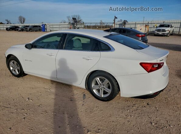 1G1ZC5ST5KF117245 2019 CHEVROLET MALIBU Белый Задняя правая четверть