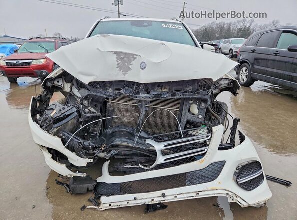 4JGDA5JB5HA831202 2017 MERCEDES-BENZ GLE Белый Вид сзади