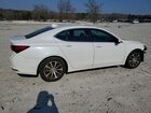 2016 Acura Tlx Белый vin: 19UUB1F34GA015965