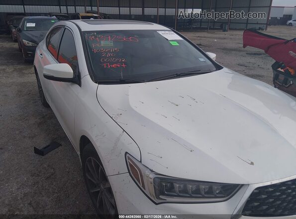 19UUB1F3XKA001092 2019 ACURA TLX White Widok z przodu