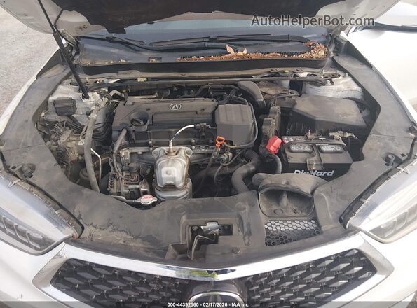 19UUB1F3XKA001092 2019 ACURA TLX White Widok z tyłu