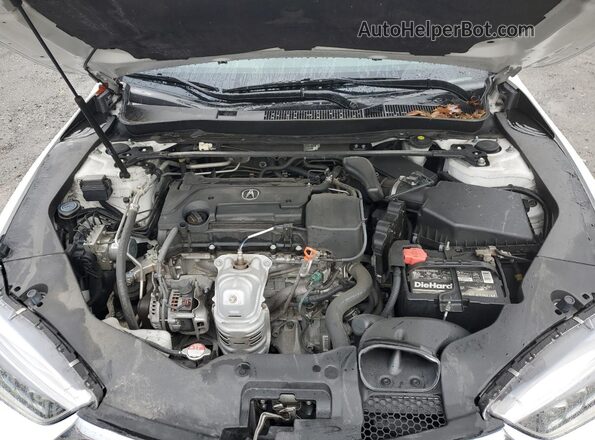 19UUB1F58KA008561 2019 ACURA TLX Белый Вид задней части салона