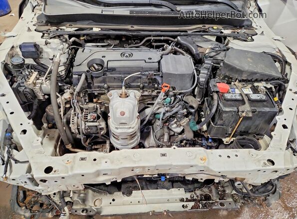 19UUB1F65KA005481 2019 ACURA TLX White Widok wnętrza z tyłu