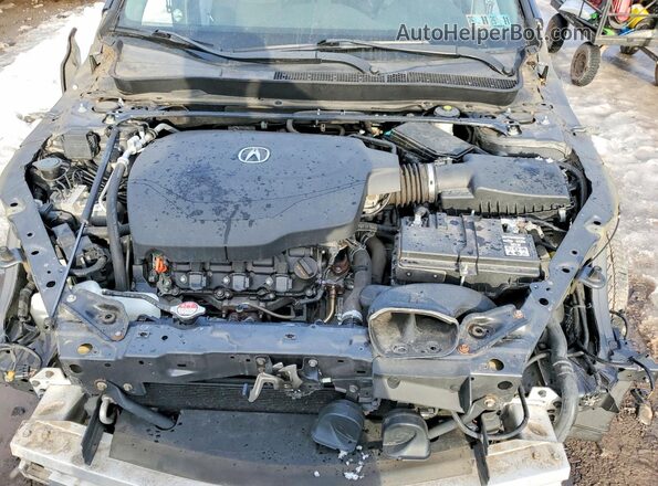 19UUB2F50GA005537 2016 ACURA TLX Серый Вид задней части салона