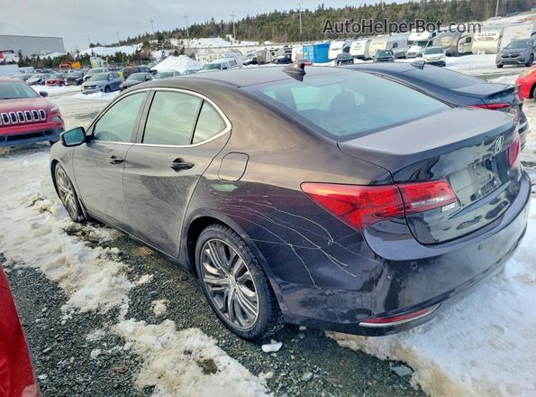 19UUB3F70HA800869 2017 ACURA TLX Коричневый Задняя левая четверть