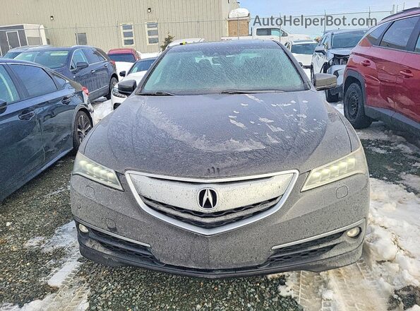 19UUB3F70HA800869 2017 ACURA TLX Коричневый Вид спереди