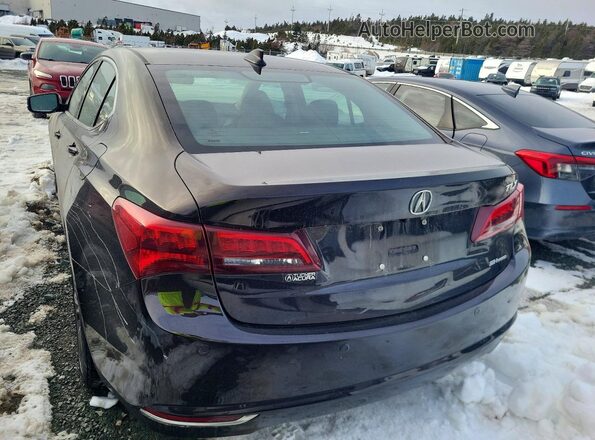 19UUB3F70HA800869 2017 ACURA TLX Коричневый Вид сзади