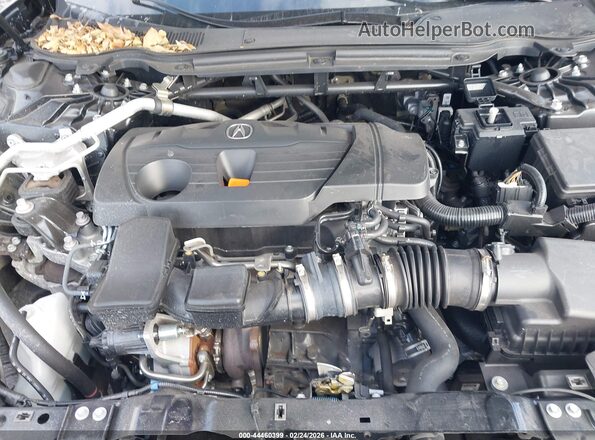 19UUB6F56SA000813 2025 ACURA TLX Black Widok z tyłu