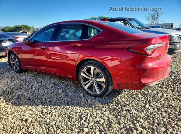 19UUB6F63MA008346 2021 ACURA TLX Red Задня ліва чверть