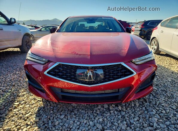 19UUB6F63MA008346 2021 ACURA TLX Red Вид спереду