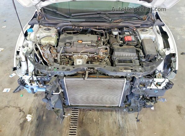 19XFC2F6XKE016578 2019 HONDA CIVIC Белый Вид задней части салона