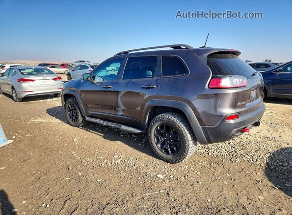 1C4PJMBX2MD108230 2021 JEEP CHEROKEE Серый Задняя левая четверть