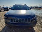 2021 Jeep Cherokee Trailhawk Серый vin: 1C4PJMBX2MD108230