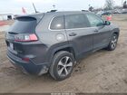 2019 Jeep Cherokee Limited 4x4 Серый vin: 1C4PJMDN1KD169724
