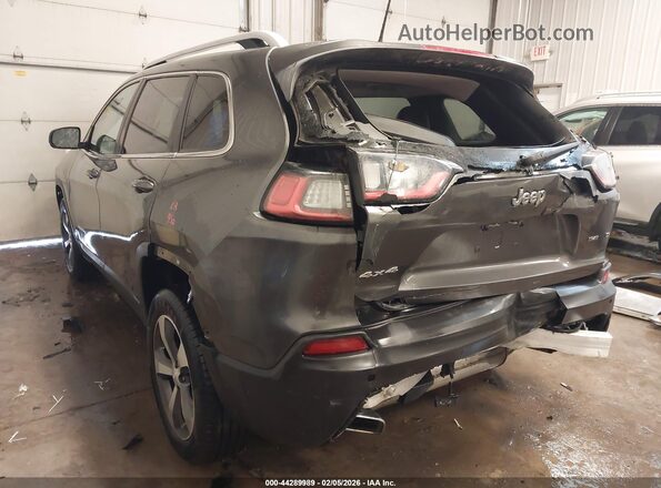 1C4PJMDX3KD423256 2019 JEEP CHEROKEE Серый Задняя левая четверть