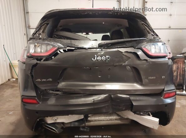 1C4PJMDX3KD423256 2019 JEEP CHEROKEE Серый 