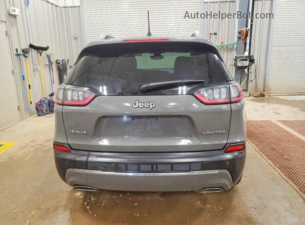 1C4PJMDX7LD504133 2020 JEEP CHEROKEE Серый Вид сзади