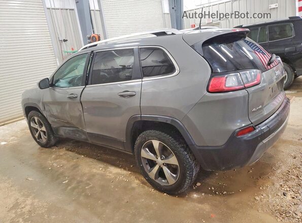1C4PJMDX7LD504133 2020 JEEP CHEROKEE Серый Задняя левая четверть
