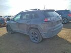 2019 Jeep Cherokee Latitude Plus Gray vin: 1C4PJMLB0KD414858