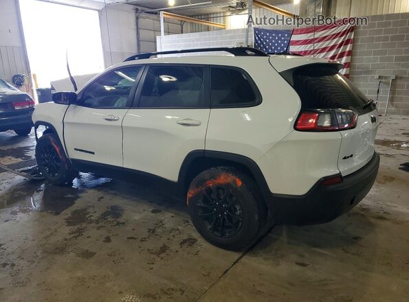 1C4PJMMB7PD115115 2023 JEEP CHEROKEE White უკანა მარცხენა