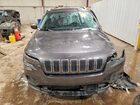 2021 Jeep Cherokee Latitude Lux Gray vin: 1C4PJMMX1MD172420
